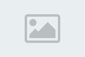 Fulton County Schools Calendar 2025